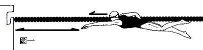 游泳怎么计算米数_4ⅹ2oo米游泳比赛视频_游泳25米速游技巧